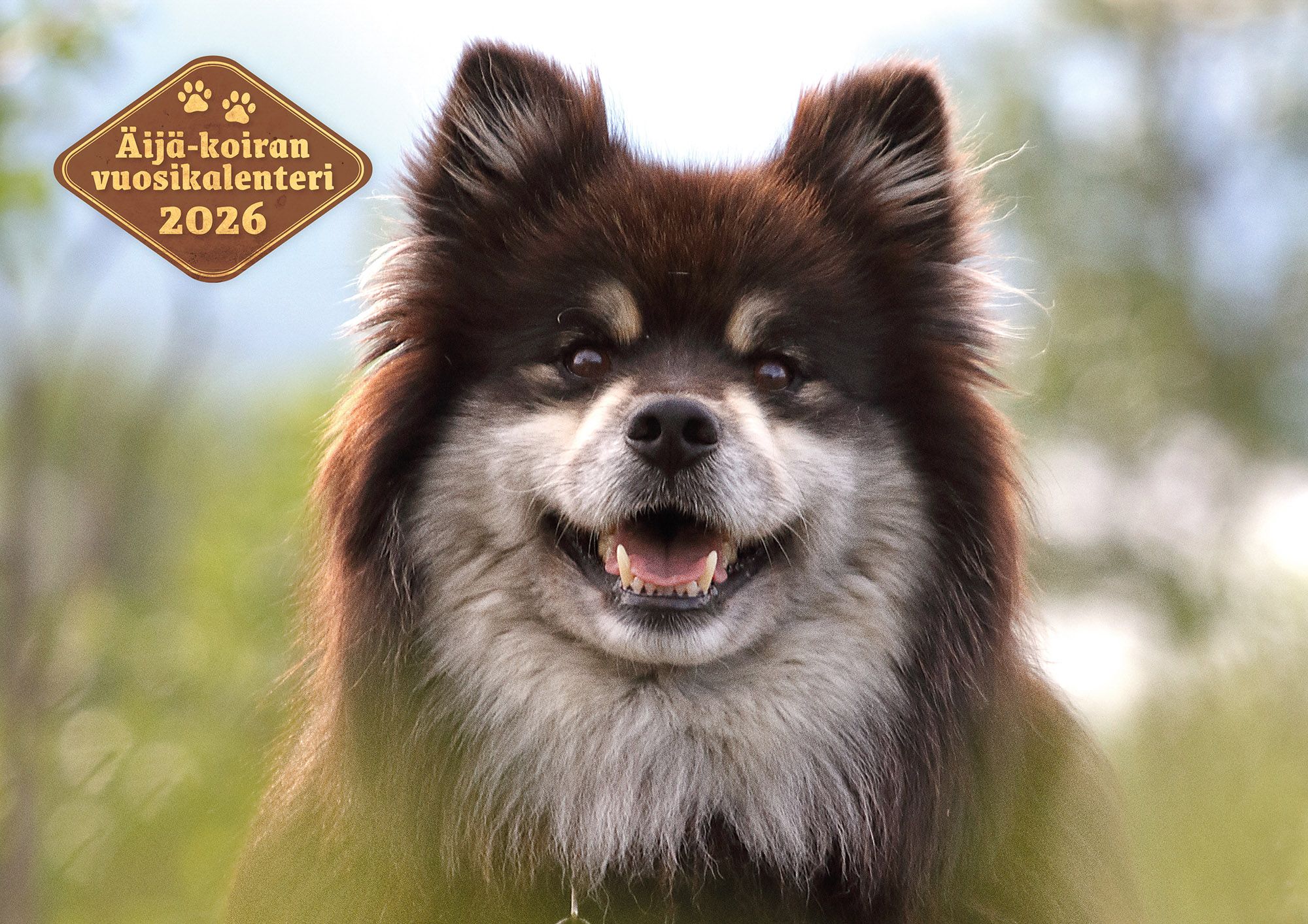 Siirry tuotesivulle Äijä-koiran vuosikalenteri 2026